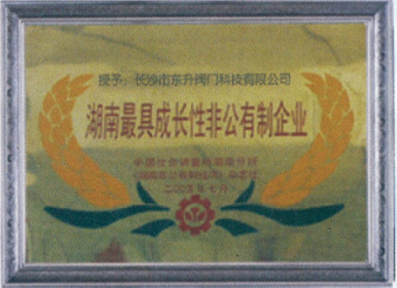 ������߳ɳ��Էǹ�������ҵ