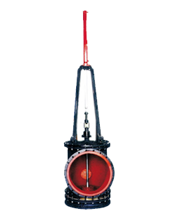 ������ϵ��